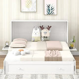 Queen Size Murphy Bed with Drawer and Shelves in White front